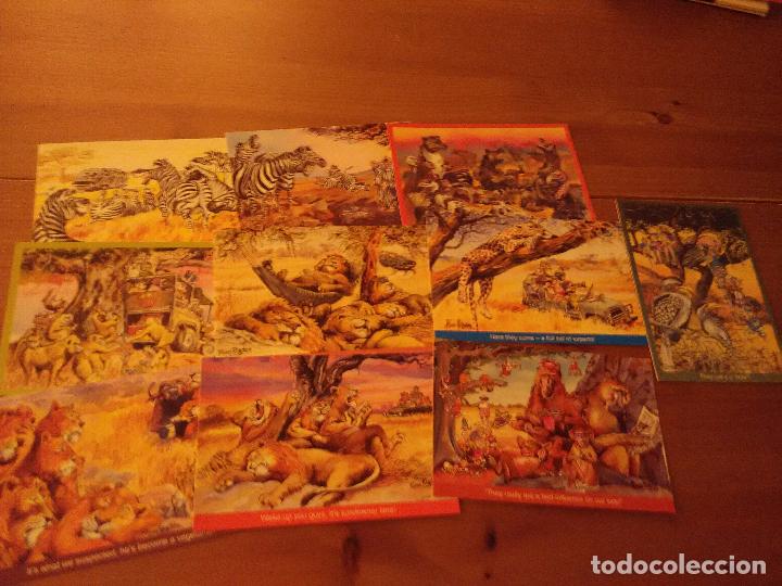 Postcards: 10 POSTALES SAFARI ANIMALES THE NATURAL SELECTION - ILUSTRADO ROSE RIGDEN- SIN CIRCULAR