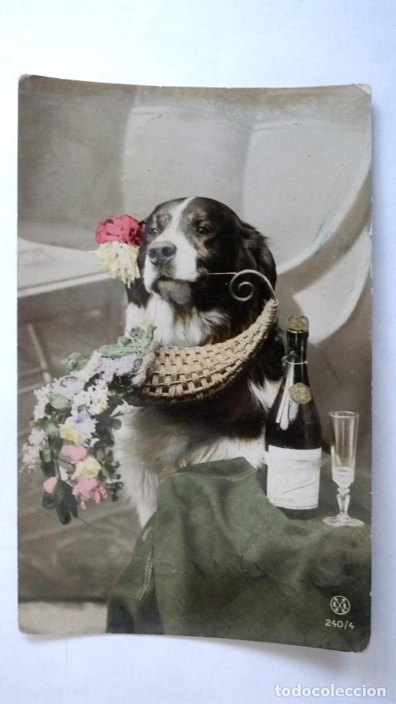 Postcards: ANTIGUA POSTAL COLOREADA, PERO CON CESTA DE FLORES Y BOTELLA DE CHAMPAGNE, A&Ntilde;O 1908