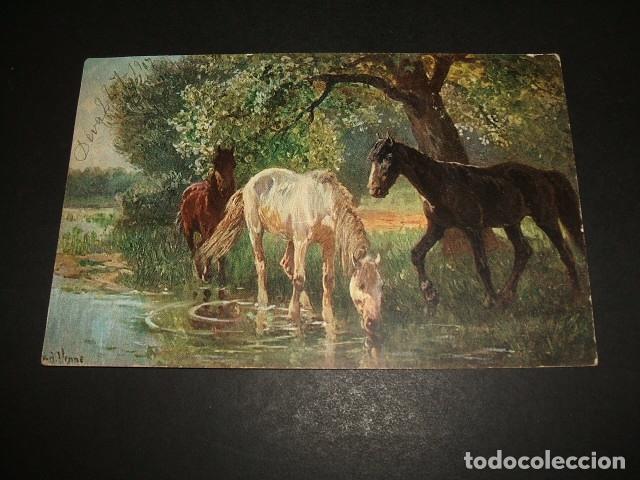 Postales: CABALLOS POSTAL 1907 ILUSTRADA - Foto 1