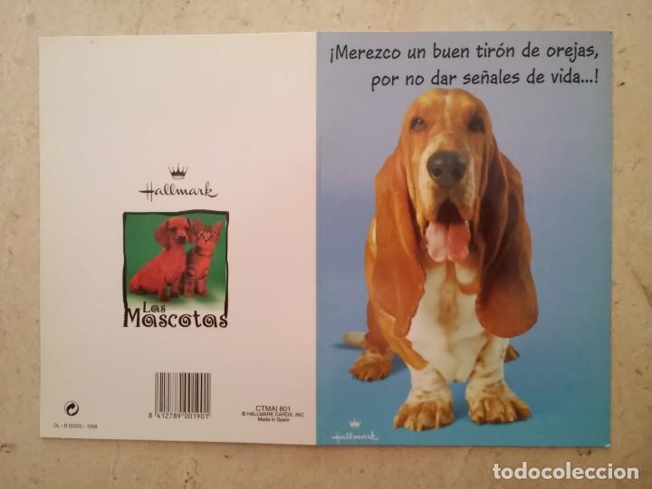 Postales: TARJETA POSTAL DOBLE ORIGINAL - PERRO - FAUNA - HALLMARK