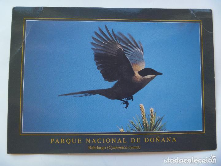 Postcards: POSTAL DEL PARQUE NACIONAL DE DO&Ntilde;ANA : RABILARGO.