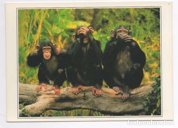 Postkarten: Postal  (monos) sin escribir