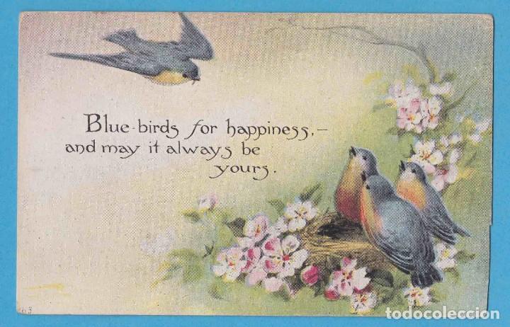 Postcards: BLUE BIRDS FOR HAPPINESS... ESCRITA EN 1916