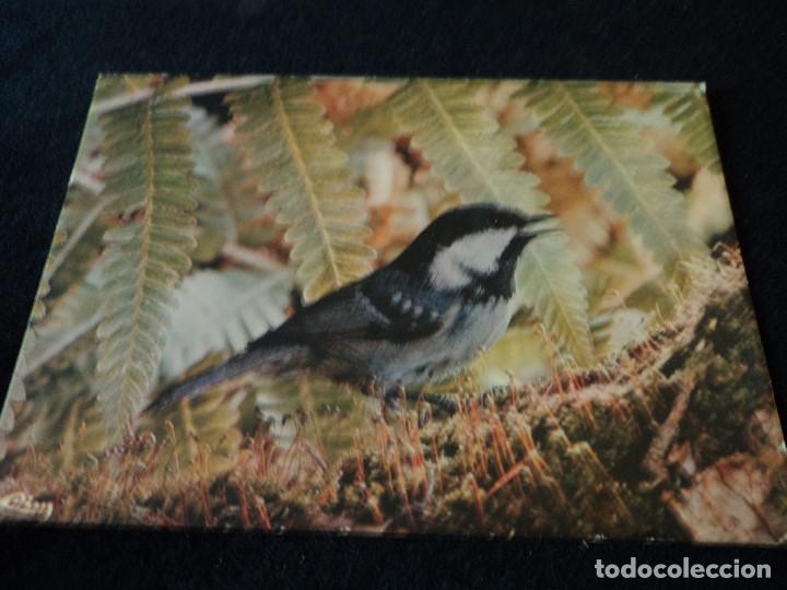 Postcards: a tire d&acute;aile mesange noir circulada 1985