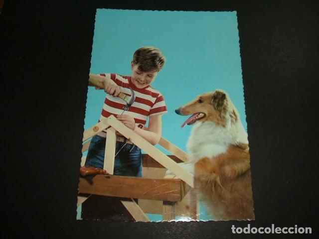 Postales: NI&Ntilde;O CON PERRO POSTAL - Foto 1