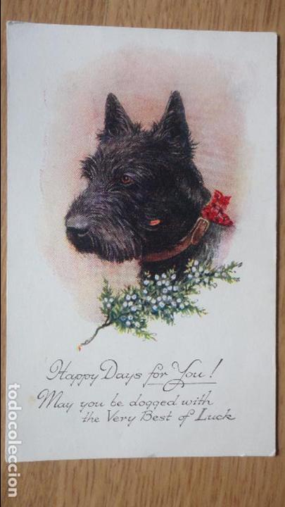 Postcards: ANTIGUA POSTAL INGLESA DE PERRO.A&Ntilde;OS 20,30