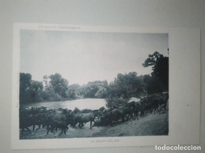 Cartes Postales: LA SALIDA DEL R&Iacute;O.  COLECCI&Oacute;N C&Aacute;NOVAS.  FOT.  LAURENT.