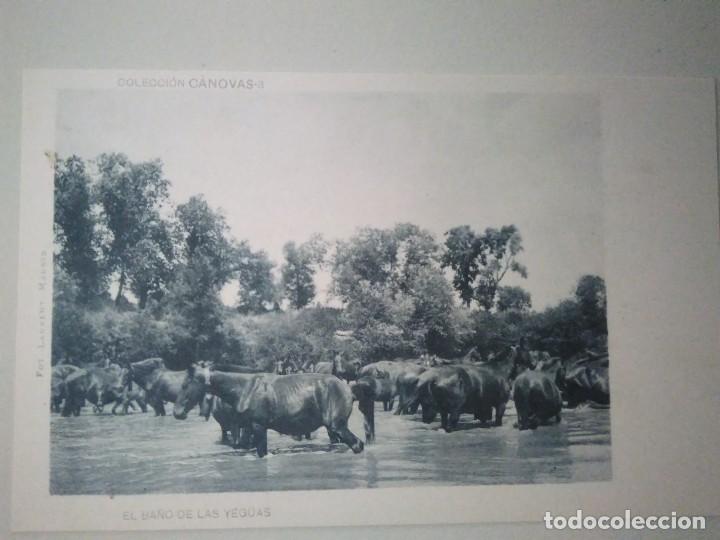 Cartes Postales: EL BA&Ntilde;O DE LAS YEGUAS.   COLECCI&Oacute;N C&Aacute;NOVAS.  FOT.  LAURENT.