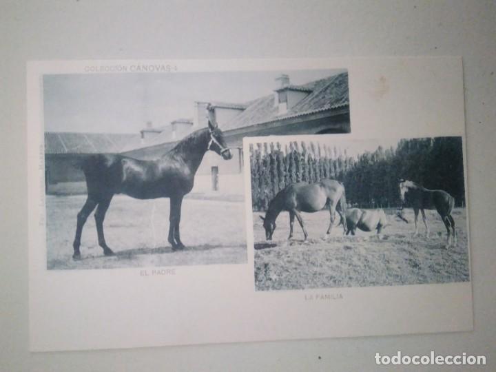 Postales: EL PADRE.  LA FAMILIA.  COLECCI&Oacute;N C&Aacute;NOVAS.  FOT.  LAURENT.