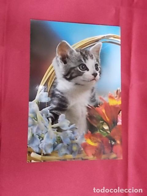 Postcards: BONITA POSTAL. GATITO EN CESTA DE FLORES. N&ordm; 2191-2. POSTALES VIKINGO