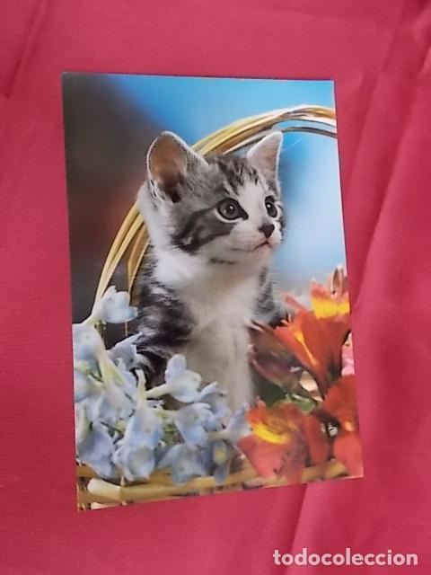 Postcards: BONITA POSTAL. GATITO EN CESTA DE FLORES. N&ordm; 2191-2. POSTALES VIKINGO