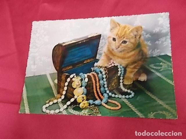 Postcards: BONITA POSTAL. GATITO Y JOYAS. 327. CECAMI. ESCRITA