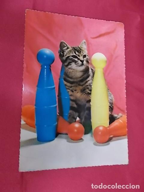 Postcards: BONITA POSTAL. GATO Y BOLOS . SERIE CHATS 7. EDICION FRANCESA