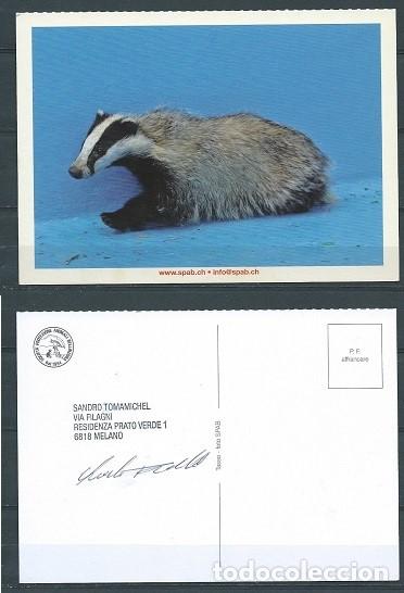 Postcards: Tarjeta postal, Italia, fauna, tej&oacute;n, 1980, circulada