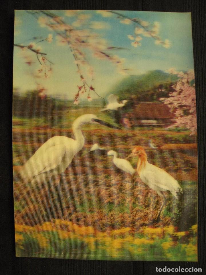 Postcards: POSTAL 3D - AVES.