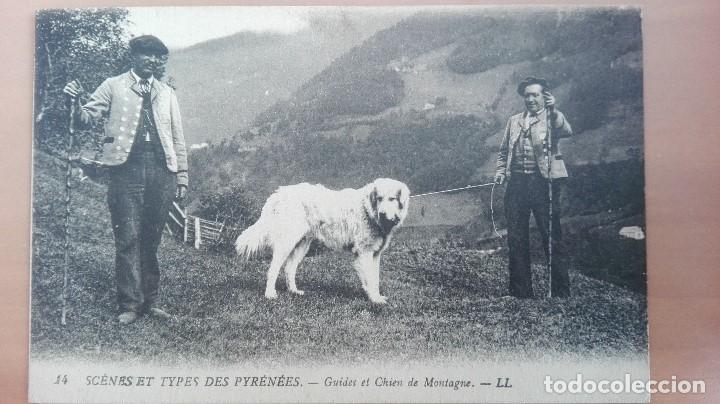 Postcards: POSTAL PAIS VASCO FRANCES N&ordm; 14 GUIDES ET CHIEN DE MONTAGNE EDIC L.L. PERRO GUIA TIPOS VASCOS