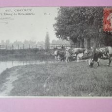 Postales: POSTAL FRANCIA 1907 CHAVILLE VACAS VACA. Lote 105101196