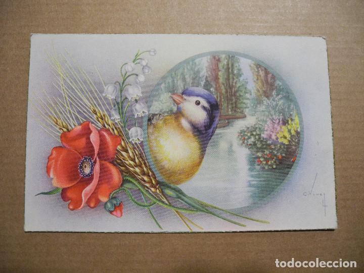 Postcards: Tarjeta postal de animales. 1953