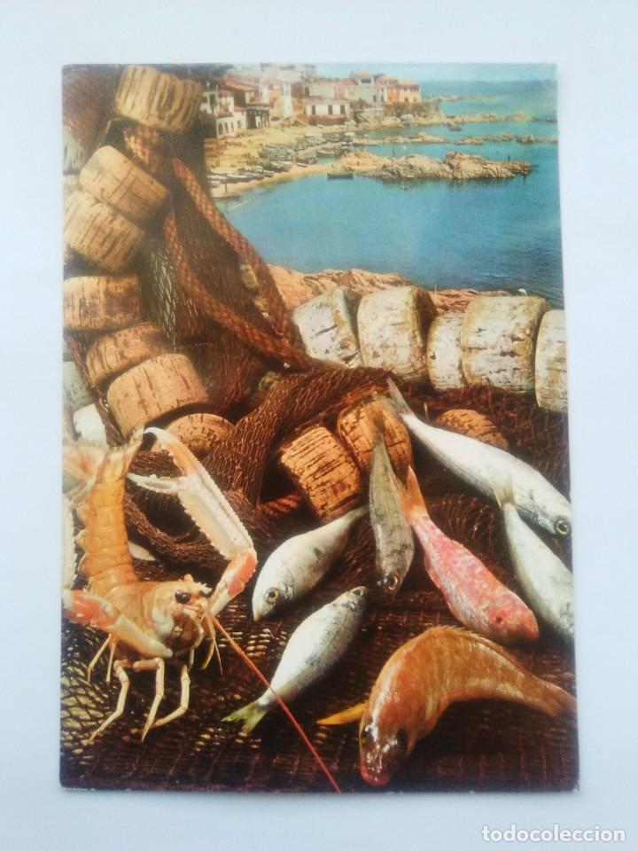 Postkarten: POSTAL PLATOS TIPICOS. ED. PERGAMINO N&ordm; 525