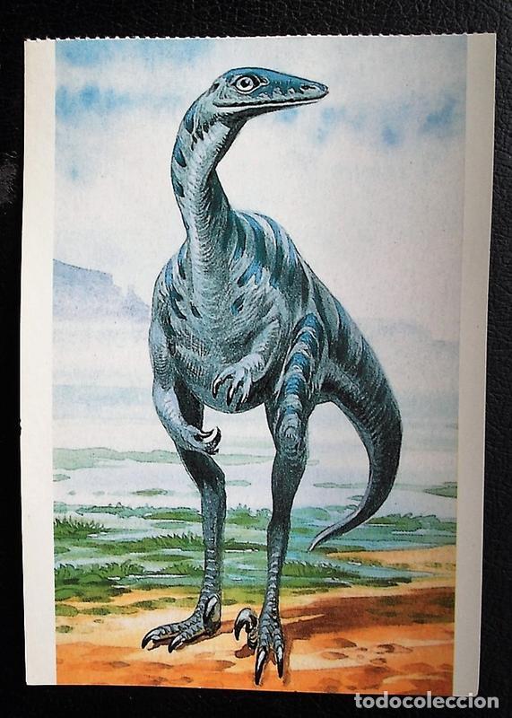 Postcards: Dinosaurios: Troodon. Orbis Publishing Ltd. Magna Book. Nueva