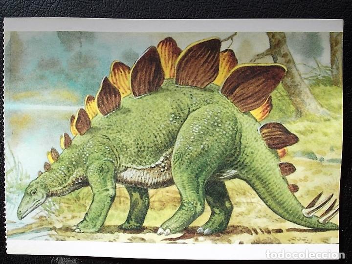 Postcards: Dinosaurios: Stegosaurus. Orbis Publishing Ltd. Magna Book. Nueva
