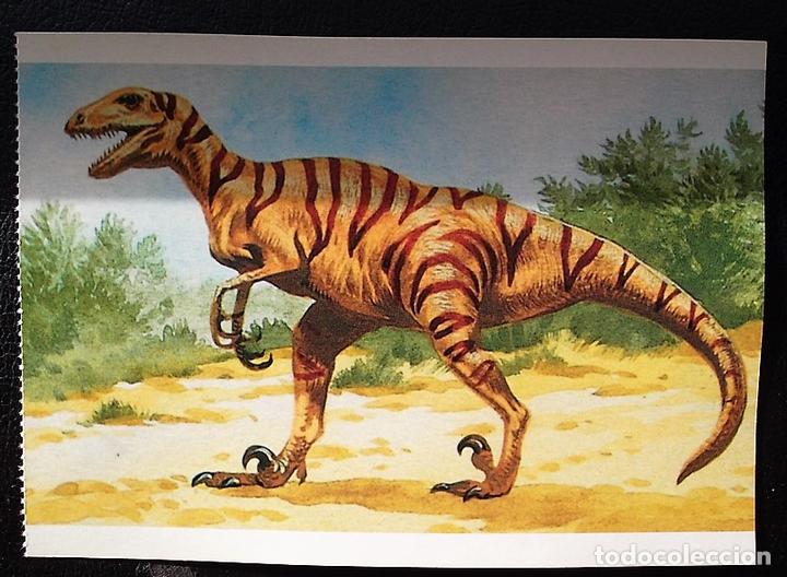 Postcards: Dinosaurios: Deinonychus. Orbis Publishing Ltd. Magna Book. Nueva