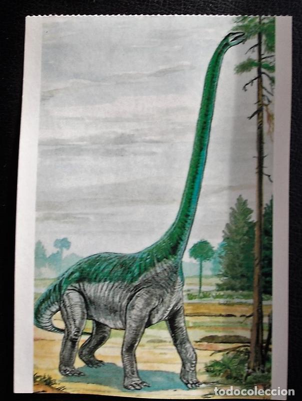 Postcards: Dinosaurios: Mamenchisaurus. Orbis Publishing Ltd. Magna Book. Nueva