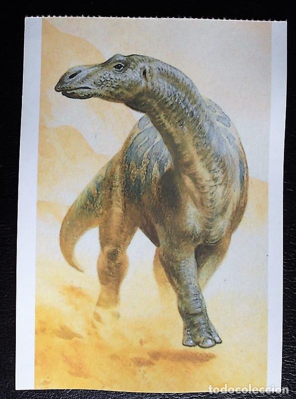 Postcards: Dinosaurios: Maiasaura. Orbis Publishing Ltd. Magna Book. Nueva