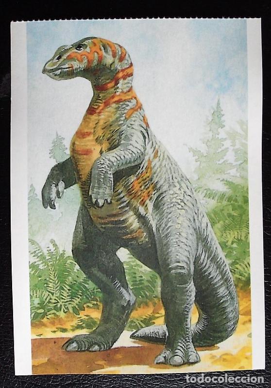 Postcards: Dinosaurios: Kritosaurus. Orbis Publishing Ltd. Magna Book. Nueva