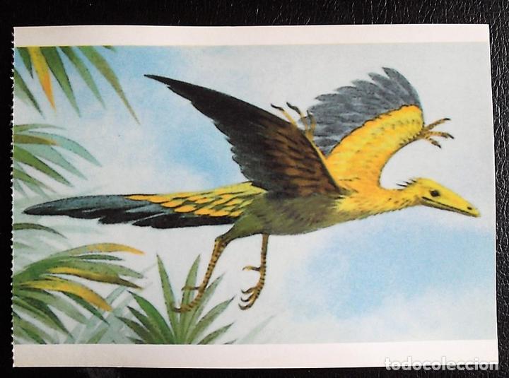 Postcards: Dinosaurios: Archaeopteryx. Orbis Publishing Ltd. Magna Book. Nueva