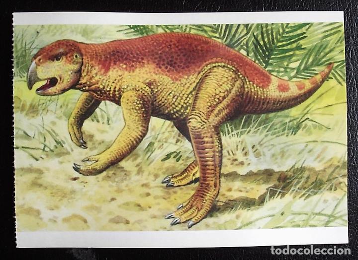 Postcards: Dinosaurios: Psittacosaurus. Orbis Publishing Ltd. Magna Book. Nueva
