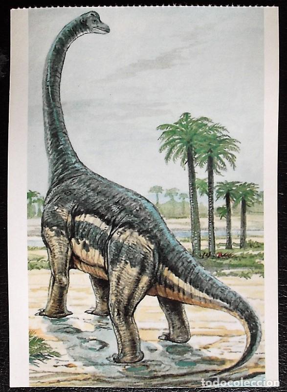 Postcards: Dinosaurios: Giraffatitan. Orbis Publishing Ltd. Magna Book. Nueva