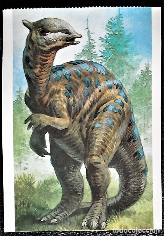 Postcards: Dinosaurios: Saurolophus. Orbis Publishing Ltd. Magna Book. Nueva