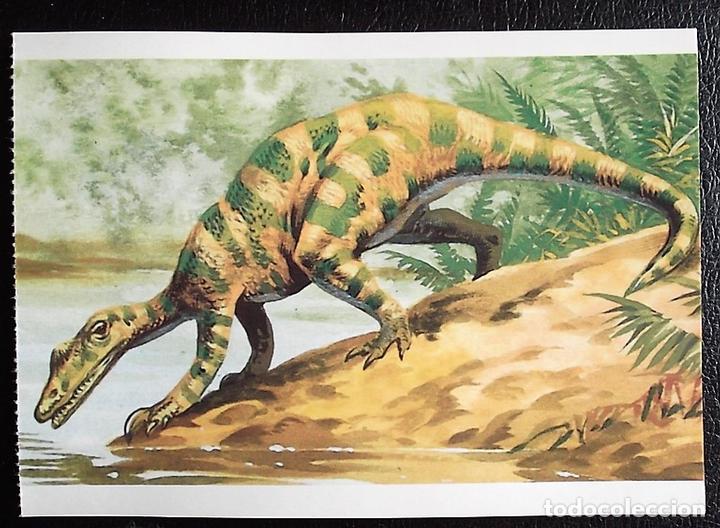 Postcards: Dinosaurios: Baryonyx. Orbis Publishing Ltd. Magna Book. Nueva