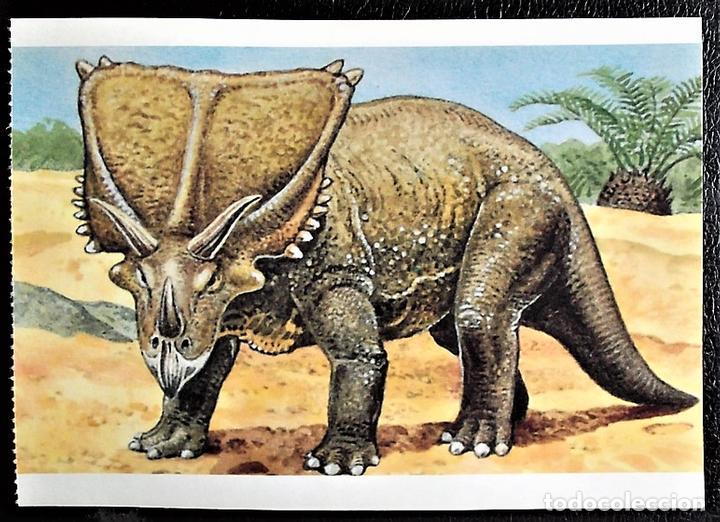 Postcards: Dinosaurios: Chasmosaurus. Orbis Publishing Ltd. Magna Book. Nueva