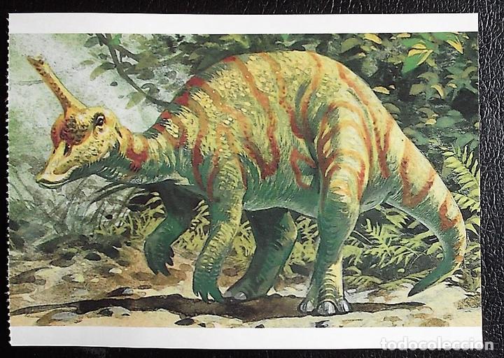 Postcards: Dinosaurios: Tsintaosaurus. Orbis Publishing Ltd. Magna Book. Nueva