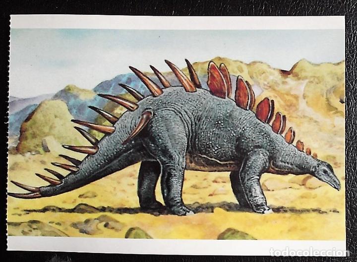 Postcards: Dinosaurios: Kentrosaurus. Orbis Publishing Ltd. Magna Book. Nueva