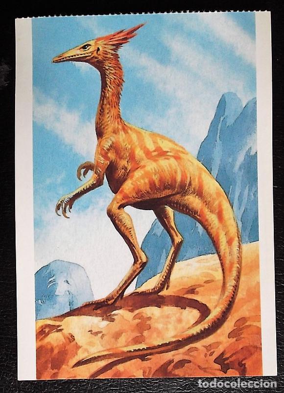 Postcards: Dinosaurios: Syntarsus. Orbis Publishing Ltd. Magna Book. Nueva
