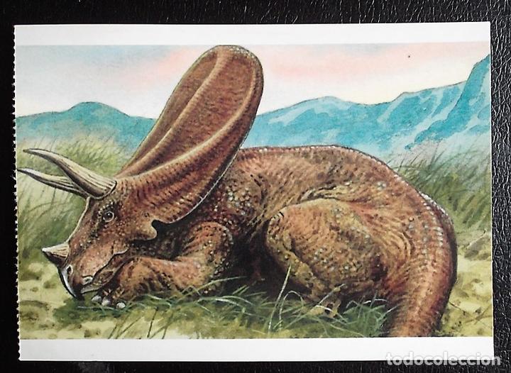 Postcards: Dinosaurios: Torosaurus. Orbis Publishing Ltd. Magna Book. Nueva