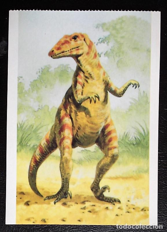 Postcards: Dinosaurios: Adasaurus. Orbis Publishing Ltd. Magna Book. Nueva