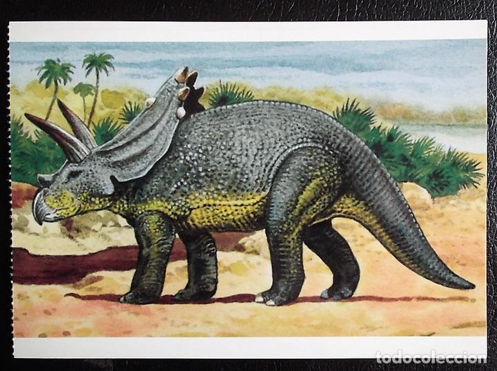 Postcards: Dinosaurios: Anchiceratops. Orbis Publishing Ltd. Magna Book. Nueva