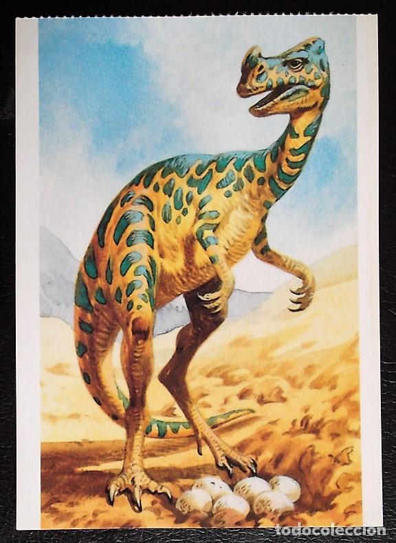 Postcards: Dinosaurios: Oviraptor. Orbis Publishing Ltd. Magna Book. Nueva