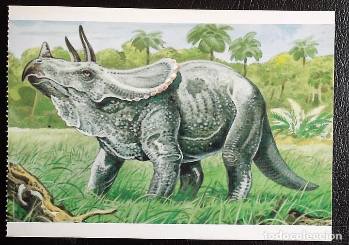 Postcards: Dinosaurios: Trinceratops. Orbis Publishing Ltd. Magna Book. Nueva