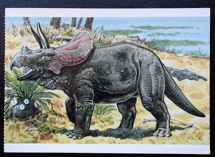 Postais: Dinosaurios: Pentaceratops. Orbis Publishing Ltd. Magna Book. Nueva