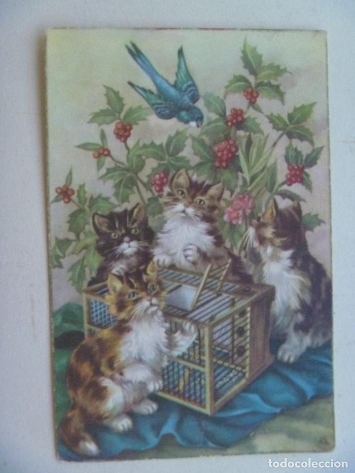 Postais: BONITA POSTAL CON DIBUJO DE GATITOS , A&Ntilde;OS 40