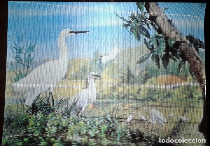 Postales: POSTAL EN 3D - Foto 1
