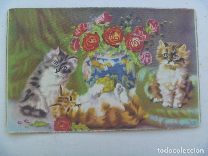 Postais: BONITA POSTAL CON GATITOS Y JARRON CON FLORES , A&Ntilde;OS 40