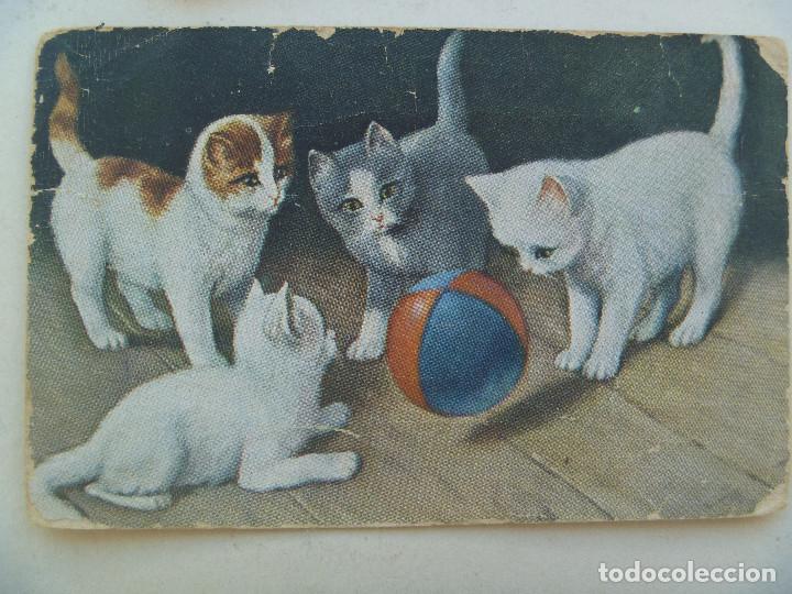Postales: BONITA POSTAL CON DIBUJO DE GATITOS Y PELOTA . DE PRINCIPIOS DE SIGLO