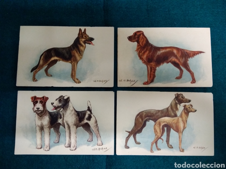 Postales: 4 POSTALES ILUSTRADAS POR HOLLYER .- EDICION ST.F. .- PERROS N&ordm; 157 , 158 , 159 , 160