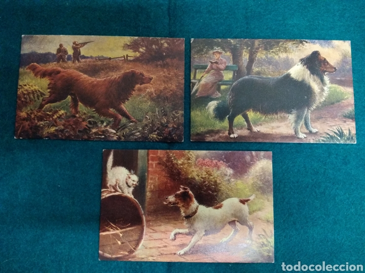 Cartes Postales: 3 POSTALES RAPHAEL TUCK & SONS OILETTE SERIE 6937 .- PERROS